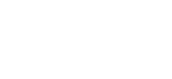 Evolution Gaming partner logo